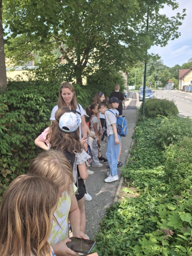 Fotowalk für Kids